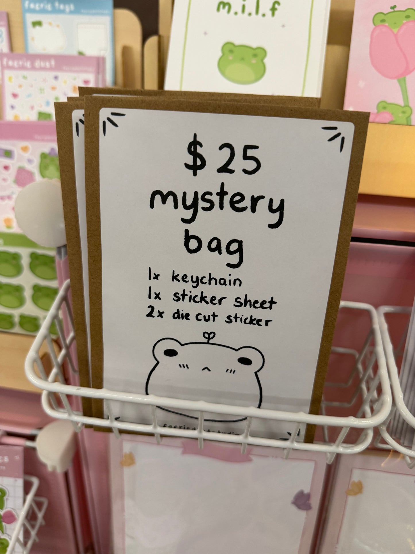 $25 Mystery Bag