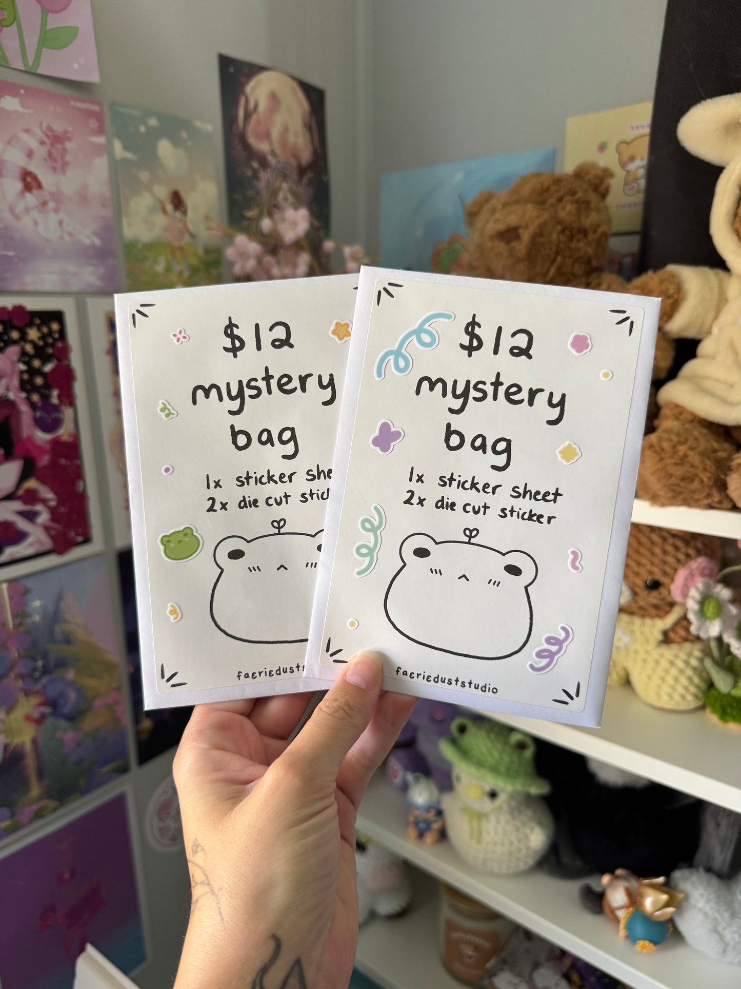 $12 Mystery Bag