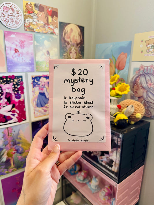 $20 Mystery Bag