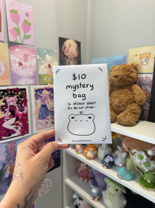 $10 Mystery Bag